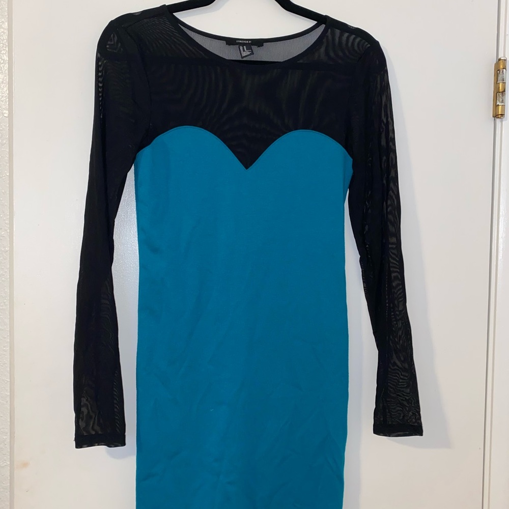 Bodycon mesh dress